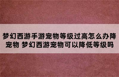 梦幻西游手游宠物等级过高怎么办降宠物 梦幻西游宠物可以降低等级吗